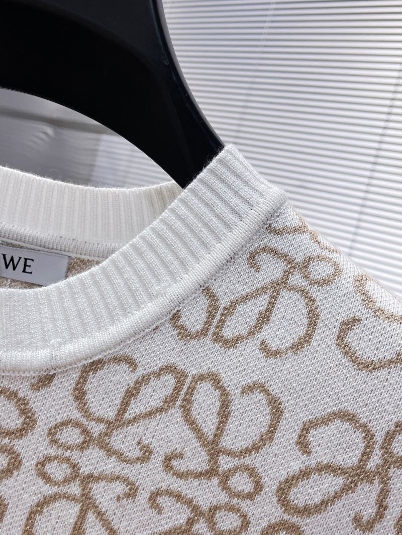 Loewe Sweaters